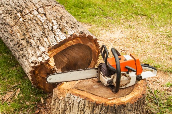 Tree Cutting Service in Navarre